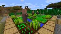 cactus city (2)